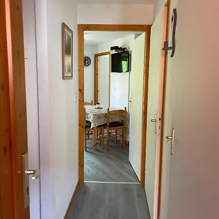 Thollon-les-mémises - Igloo 2 Apartamento *